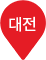 대전핀